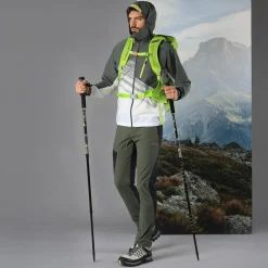 Bern Trekking Stöcke