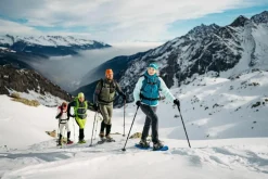 Bern Trekking Stöcke