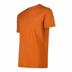 Herren-T-Shirt aus Performance Merino